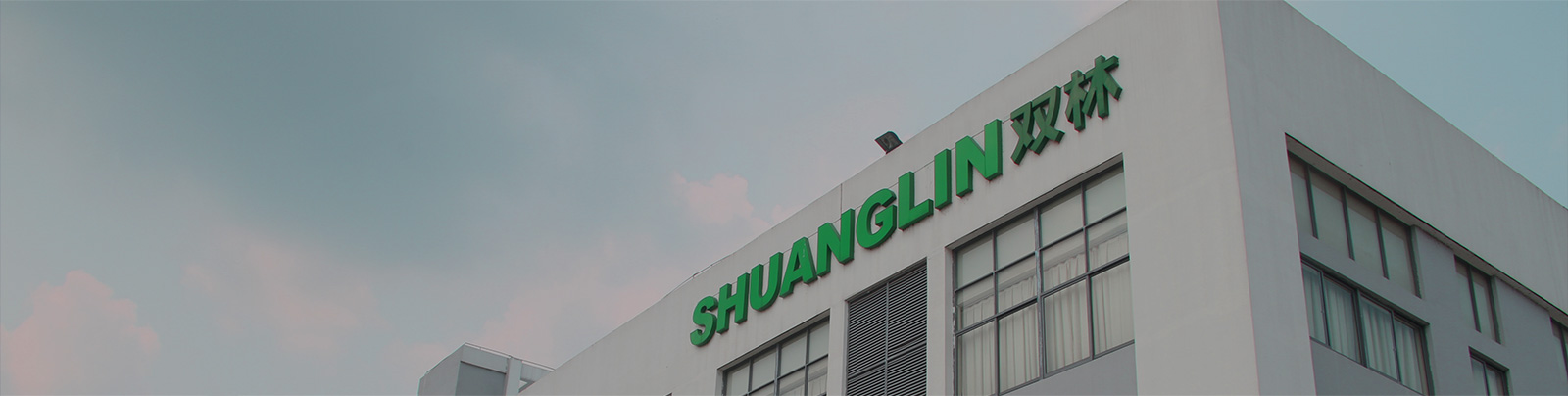 让体育从心开始股份站群