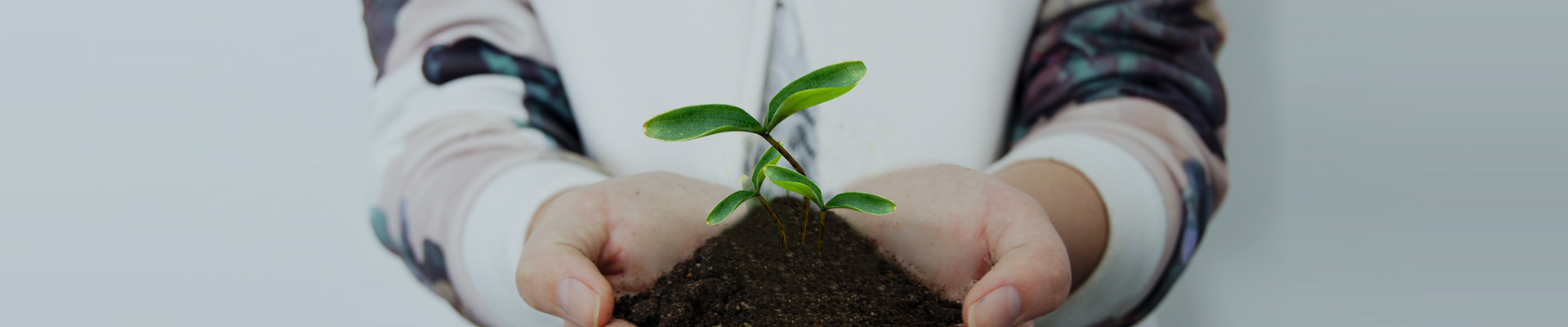 安博(中国大陆)官方网站