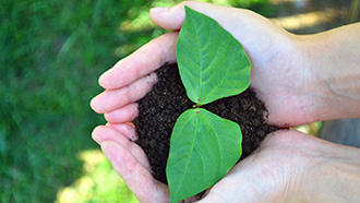 安博(中国大陆)官方网站